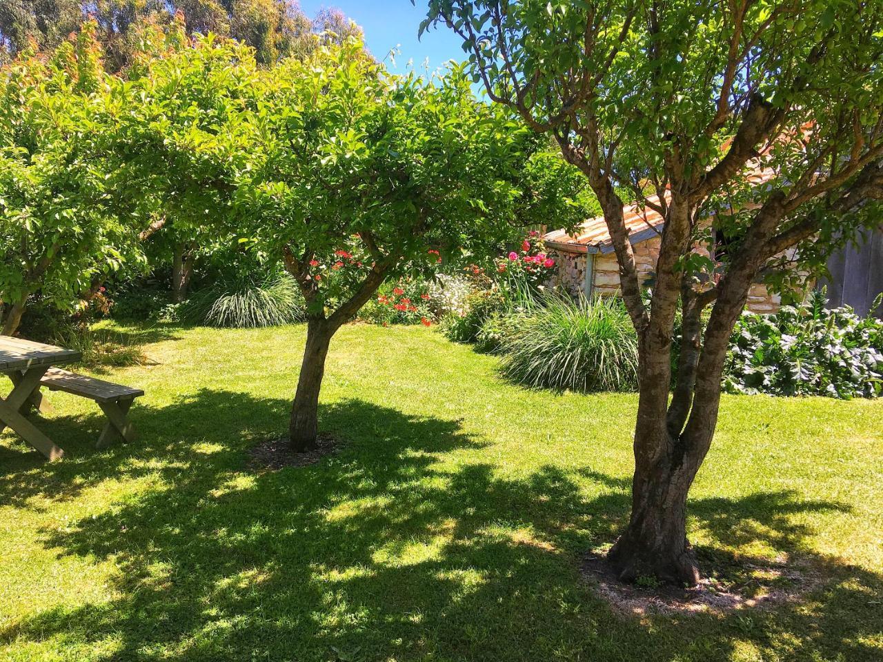 Cherry Plum Cottages Port Fairy Exterior foto